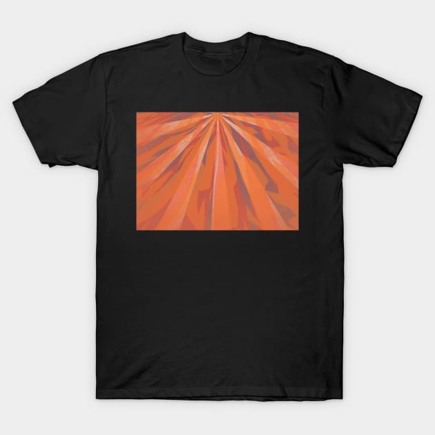 Orange Energy T-Shirt by Lollik